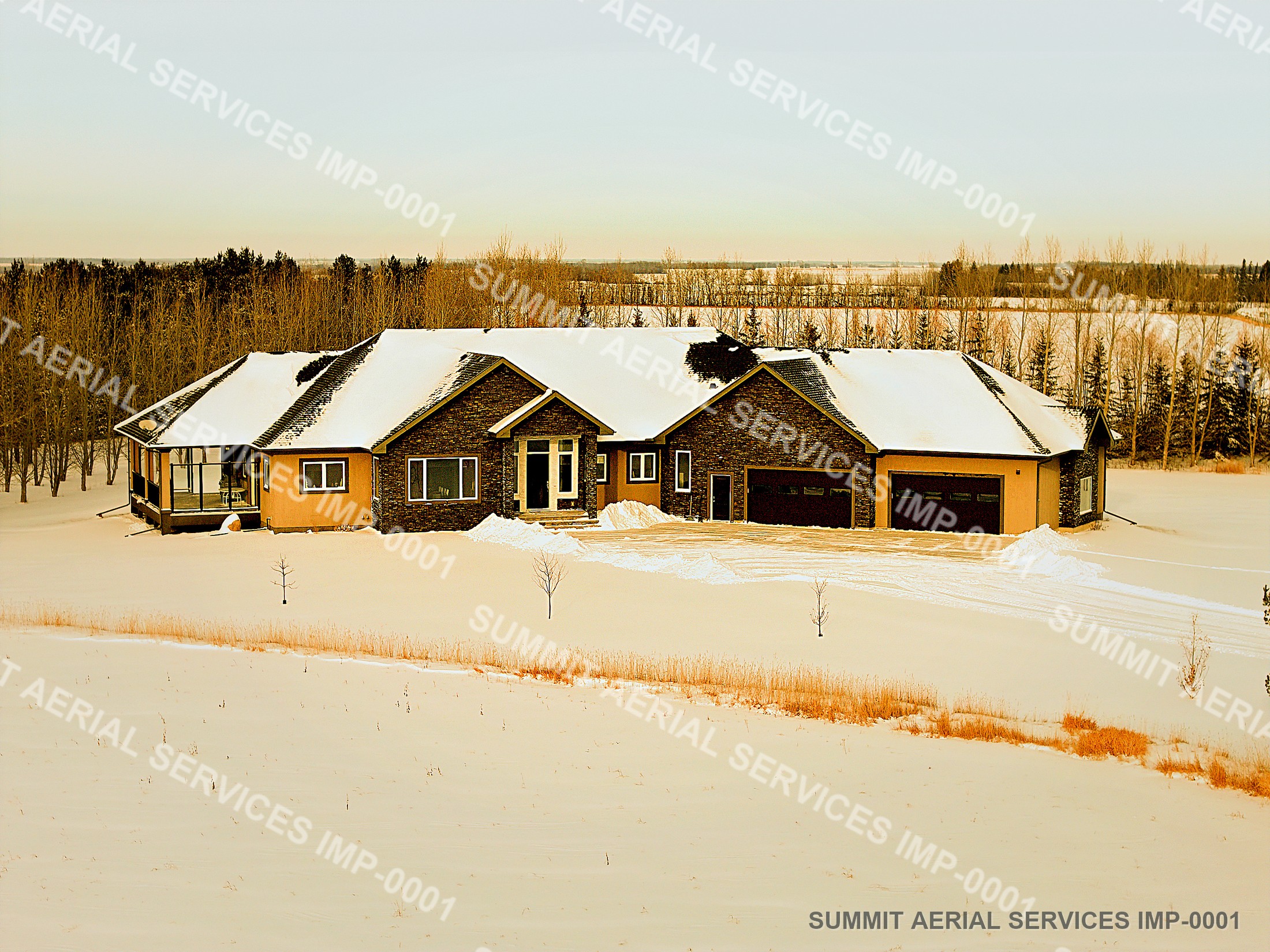 Preview photo for The Winter Spruce